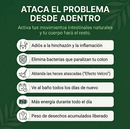 RESTORA PROBIOTICO